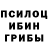 Галлюциногенные грибы GOLDEN TEACHER Sergey Mankovskiy