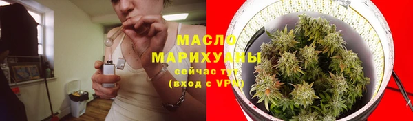 ECSTASY Болотное