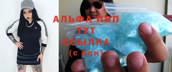 крисы Надым
