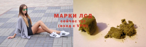 крисы Надым
