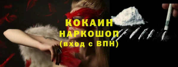 крисы Надым