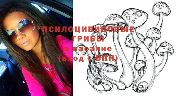 сатива Наволоки