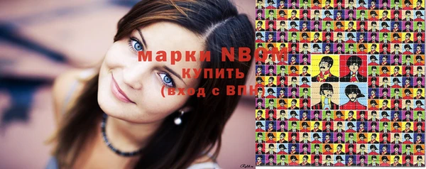 индика Нея