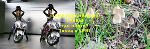 сатива Наволоки