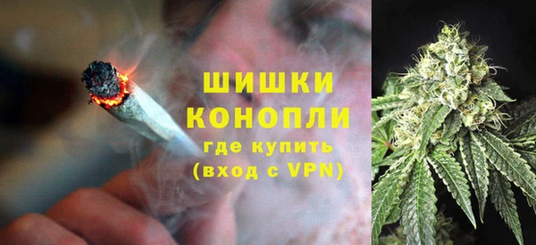 индика Нея