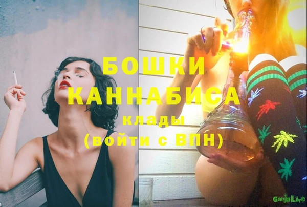 дживик Нефтекумск