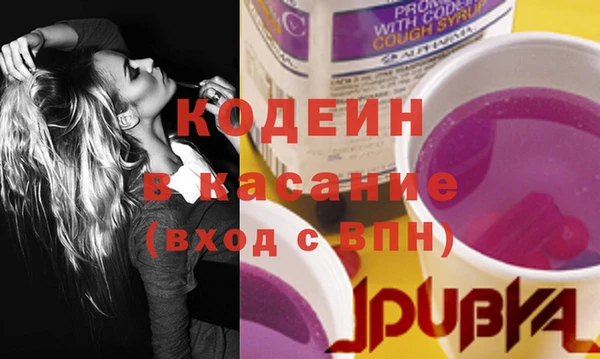 индика Нея