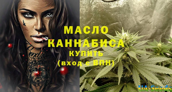 ECSTASY Болотное