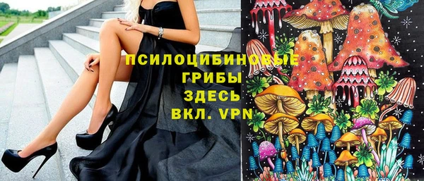 дживик Нефтекумск