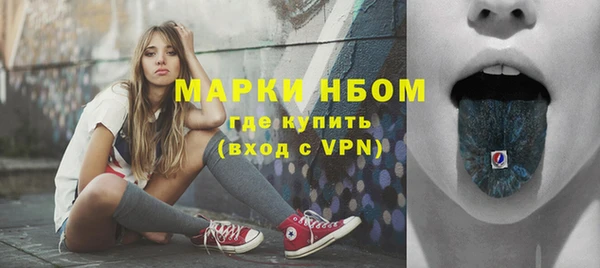 крисы Надым