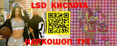 дживик Гатчина