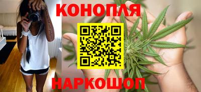 бошки Гагарин