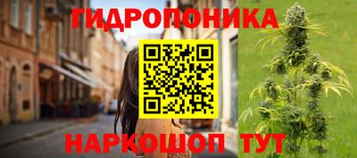 бошки Гагарин