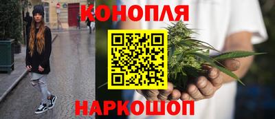 бошки Гагарин