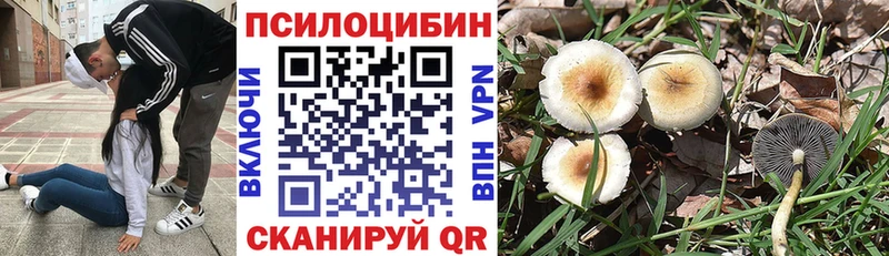 блэк спрут рабочий сайт  Михайловск  Псилоцибиновые грибы ЛСД 
