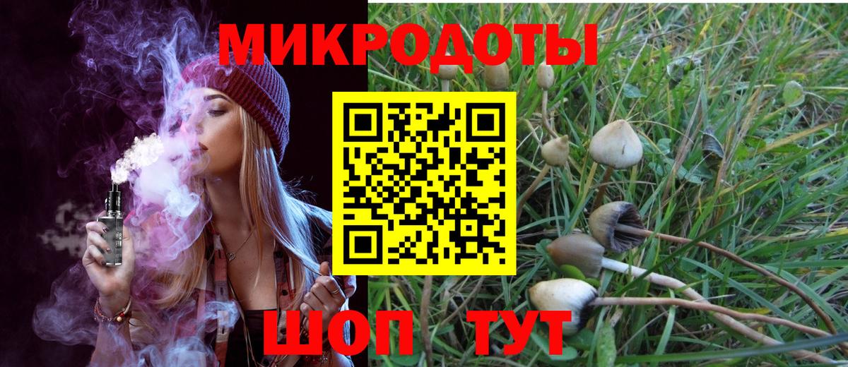 Псилоцибиновые грибы Psilocybe Михайловск