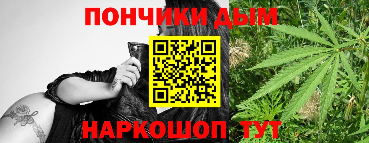 Шишки марихуана THC 21%  Вход с VPN  Канабис SATIVA & INDICA  Михайловск  Бошки марихуана тримм  Марихуана план 